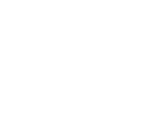 E.L.M. Limousine